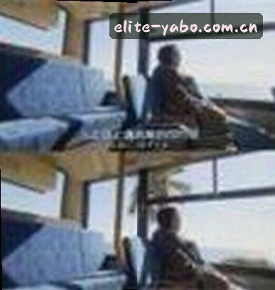 赵敏